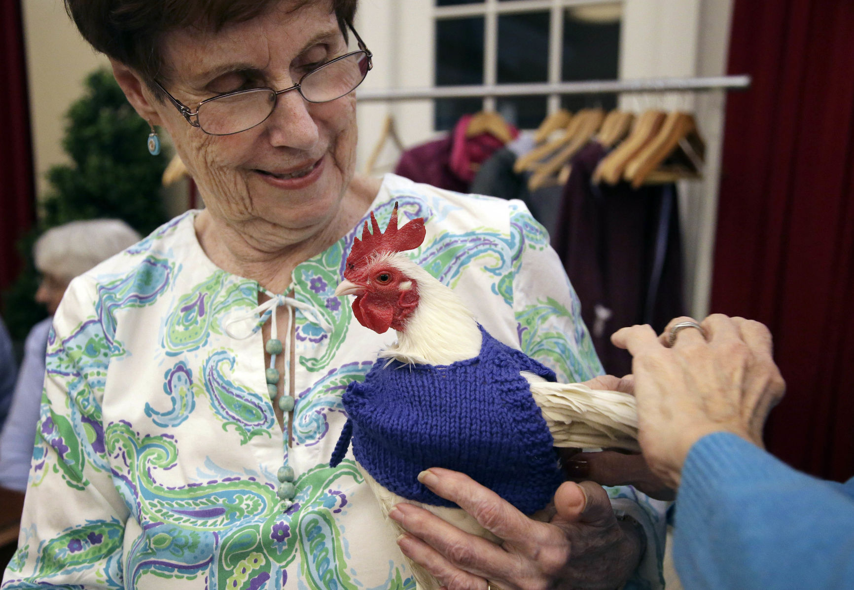 Sweaters for Chickens
